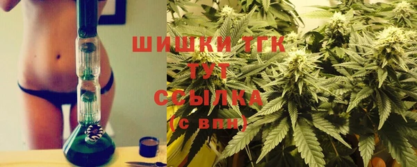 спайс Аркадак