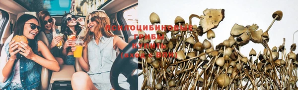 бошки Баксан