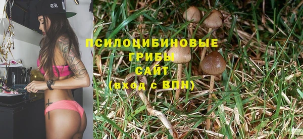 дурь Арсеньев