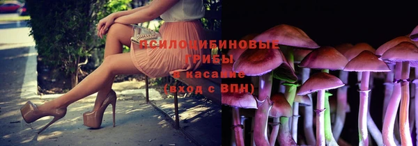 бошки Армянск