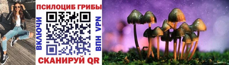 Псилоцибиновые грибы MAGIC MUSHROOMS  купить закладку  Кинель 